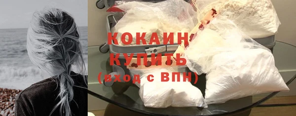 прущие грибы Вязьма