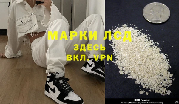 прущие грибы Вязьма