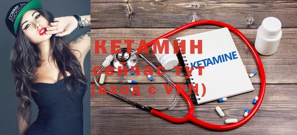 прущие грибы Вязьма