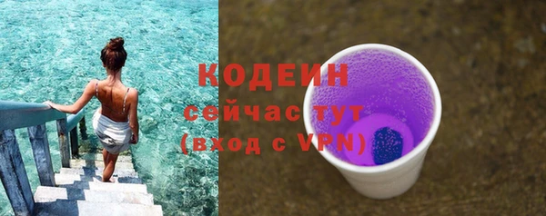 прущие грибы Вязьма