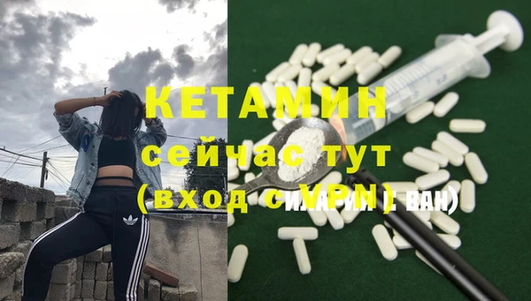 прущие грибы Вязьма