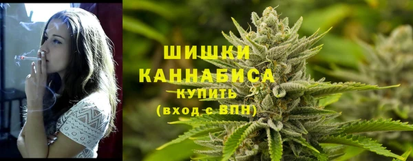 прущие грибы Вязьма