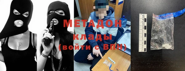 прущие грибы Вязьма