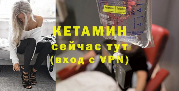 прущие грибы Вязьма
