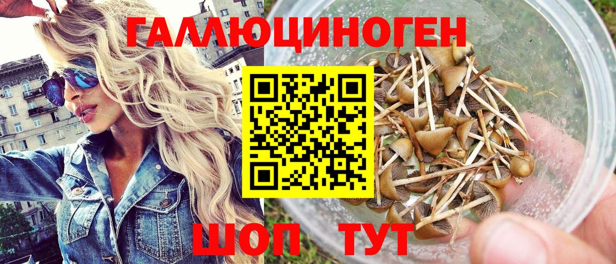 Галлюциногенные грибы GOLDEN TEACHER  Вход с VPN  Зеленогорск 