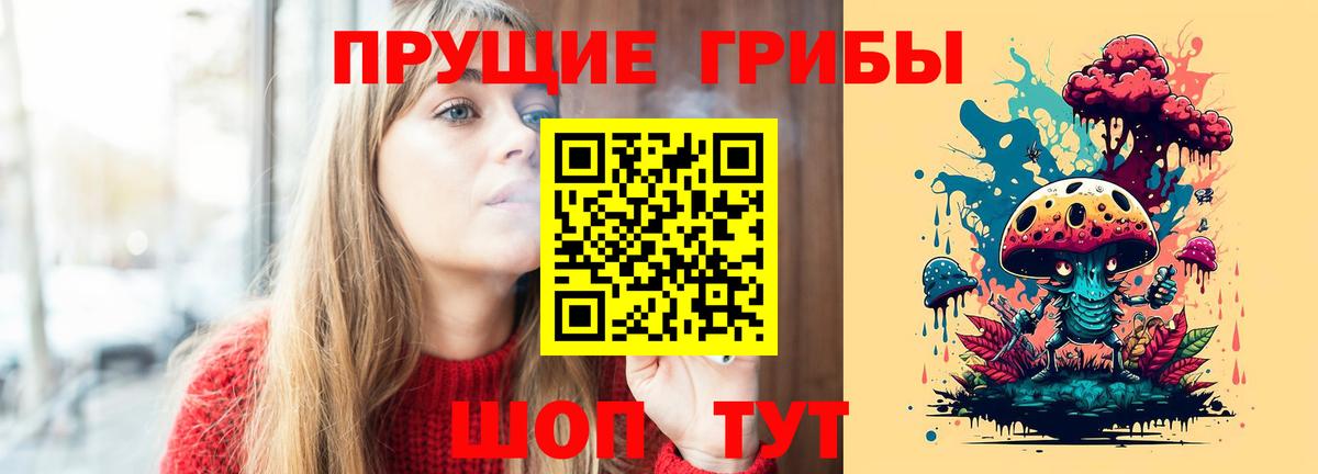 Галлюциногенные грибы Psilocybine cubensis Зеленогорск