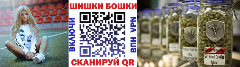 купить  цена  Зеленогорск  Конопля гибрид 